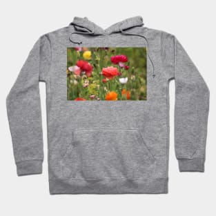 Rainbow of Ranunculus Hoodie